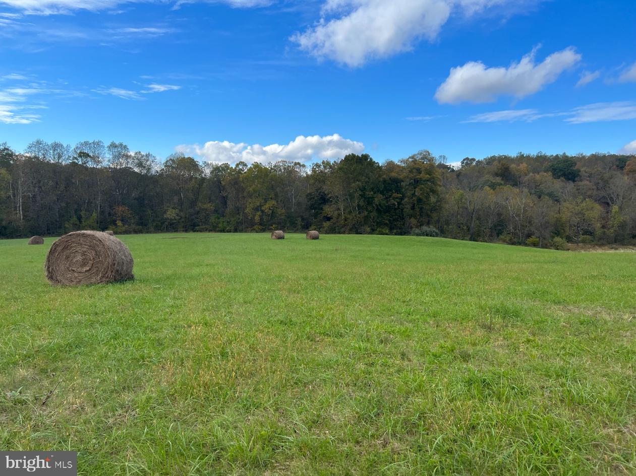 HAWTHORNE FARM RD, ORLEAN, Virginia 20128, ,Farm,For sale,HAWTHORNE FARM RD,VAFQ2014406 MLS # VAFQ2014406