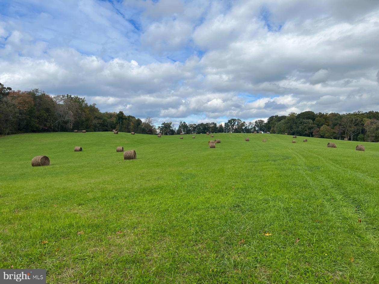 HAWTHORNE FARM RD, ORLEAN, Virginia 20128, ,Farm,For sale,HAWTHORNE FARM RD,VAFQ2014406 MLS # VAFQ2014406