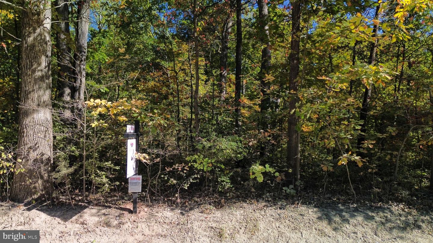 4515 LOGMILL RD, GAINESVILLE, Virginia 20155, ,Land,For sale,4515 LOGMILL RD,VAPW2081640 MLS # VAPW2081640