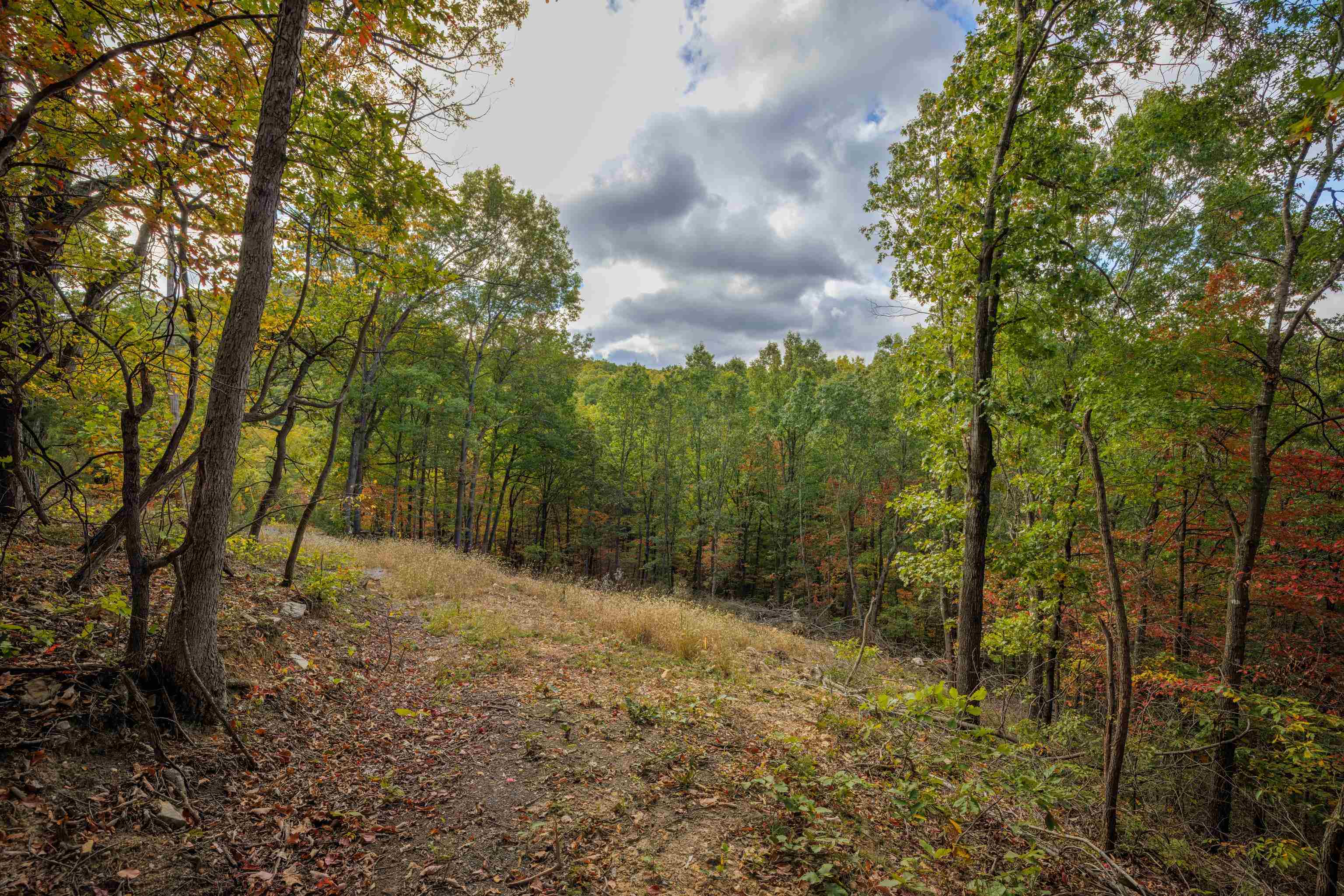 Lot 14 WILDWOOD LN, SHENANDOAH, Virginia 22849, ,Land,Lot 14 WILDWOOD LN,658133 MLS # 658133