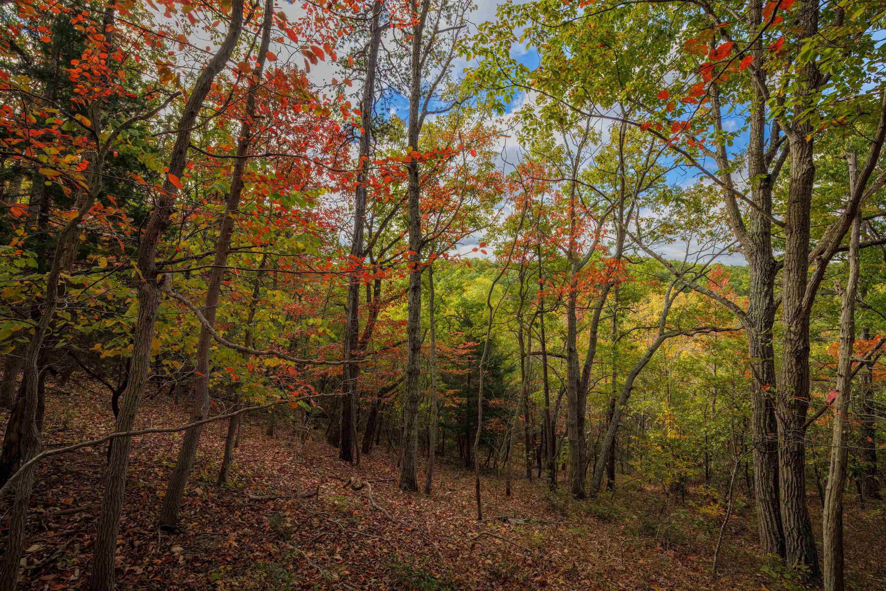 Lot 14 WILDWOOD LN, SHENANDOAH, Virginia 22849, ,Land,Lot 14 WILDWOOD LN,658133 MLS # 658133