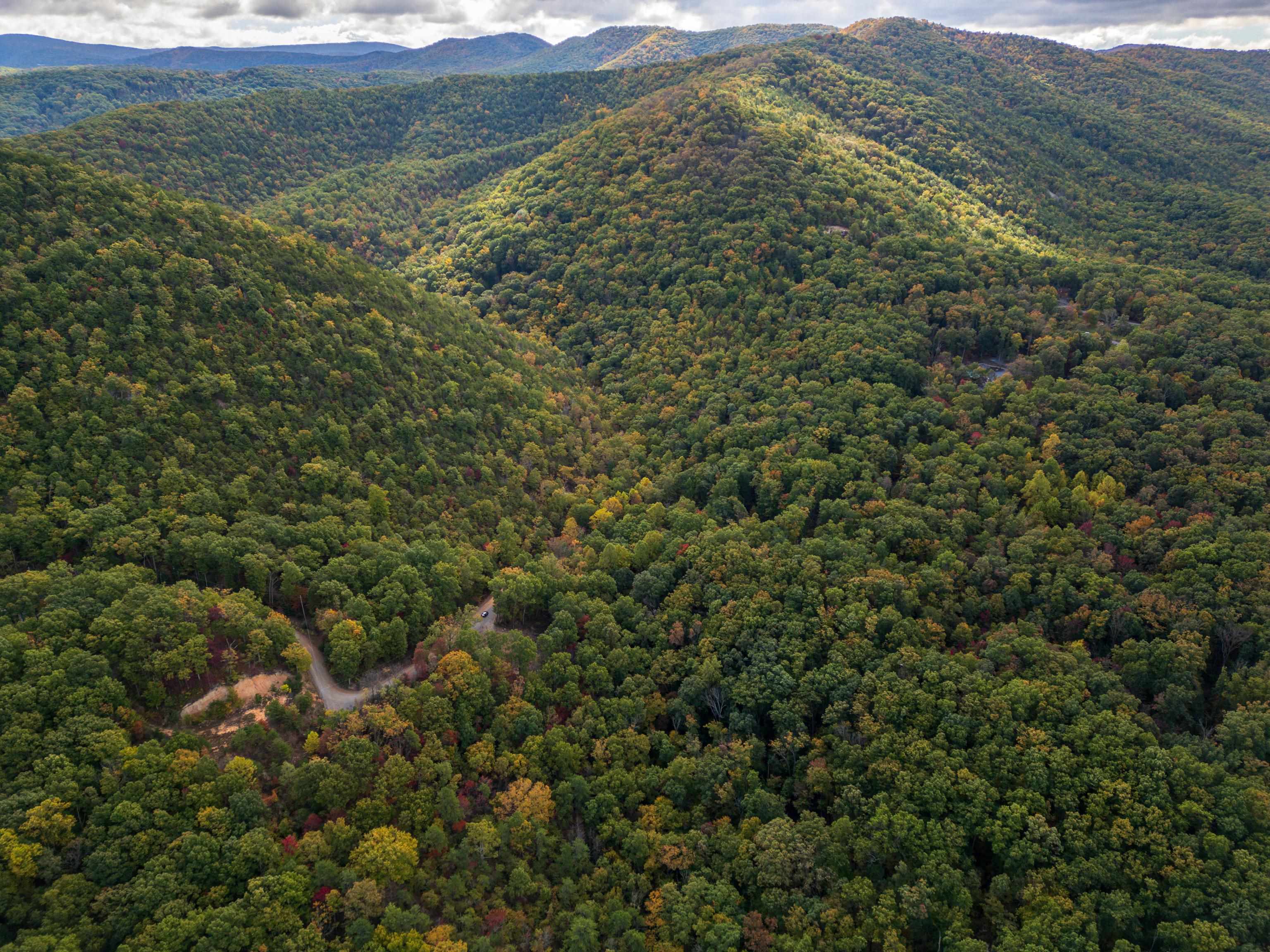 Lot 14 WILDWOOD LN, SHENANDOAH, Virginia 22849, ,Land,Lot 14 WILDWOOD LN,658133 MLS # 658133