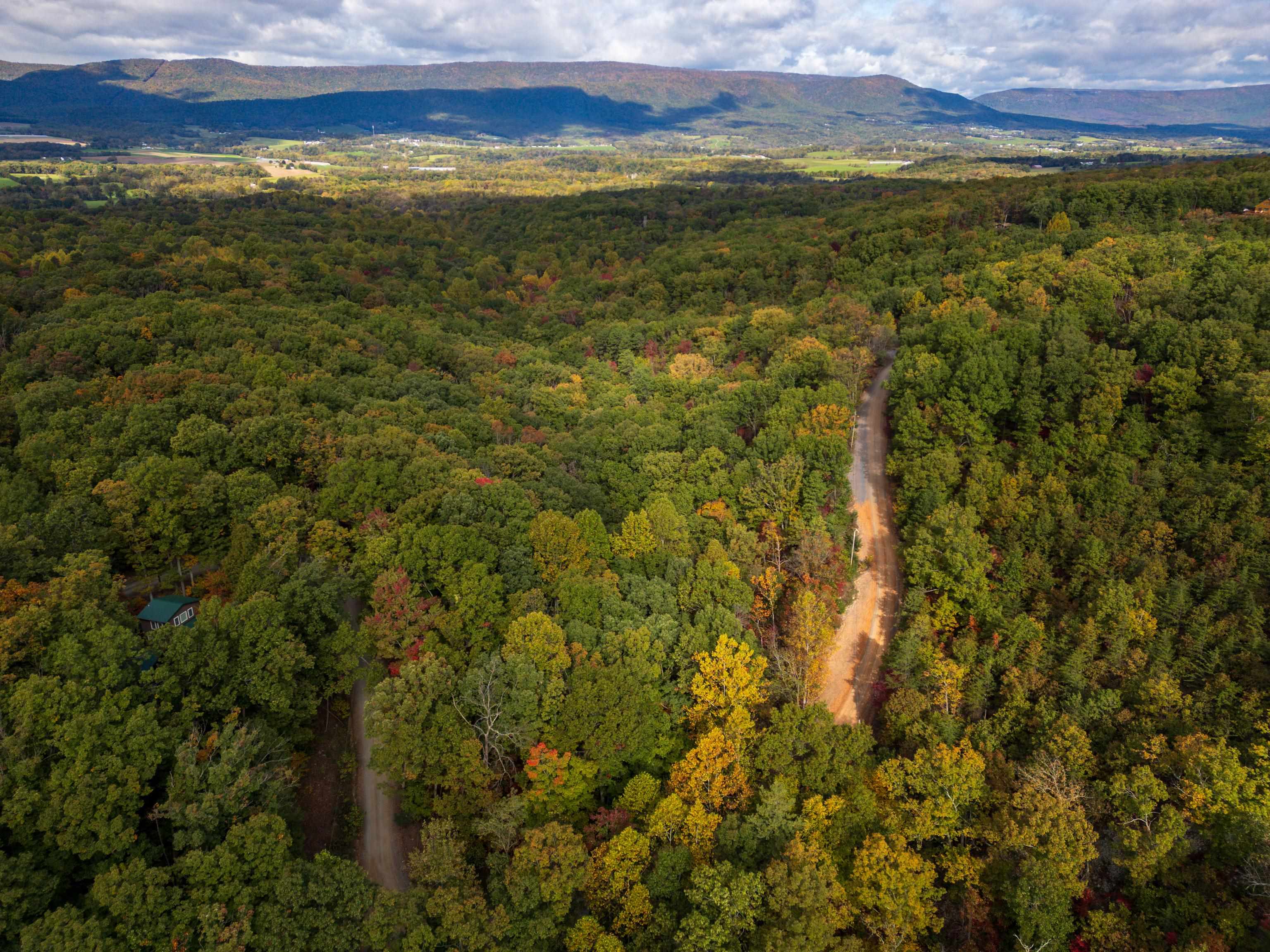 Lot 14 WILDWOOD LN, SHENANDOAH, Virginia 22849, ,Land,Lot 14 WILDWOOD LN,658133 MLS # 658133