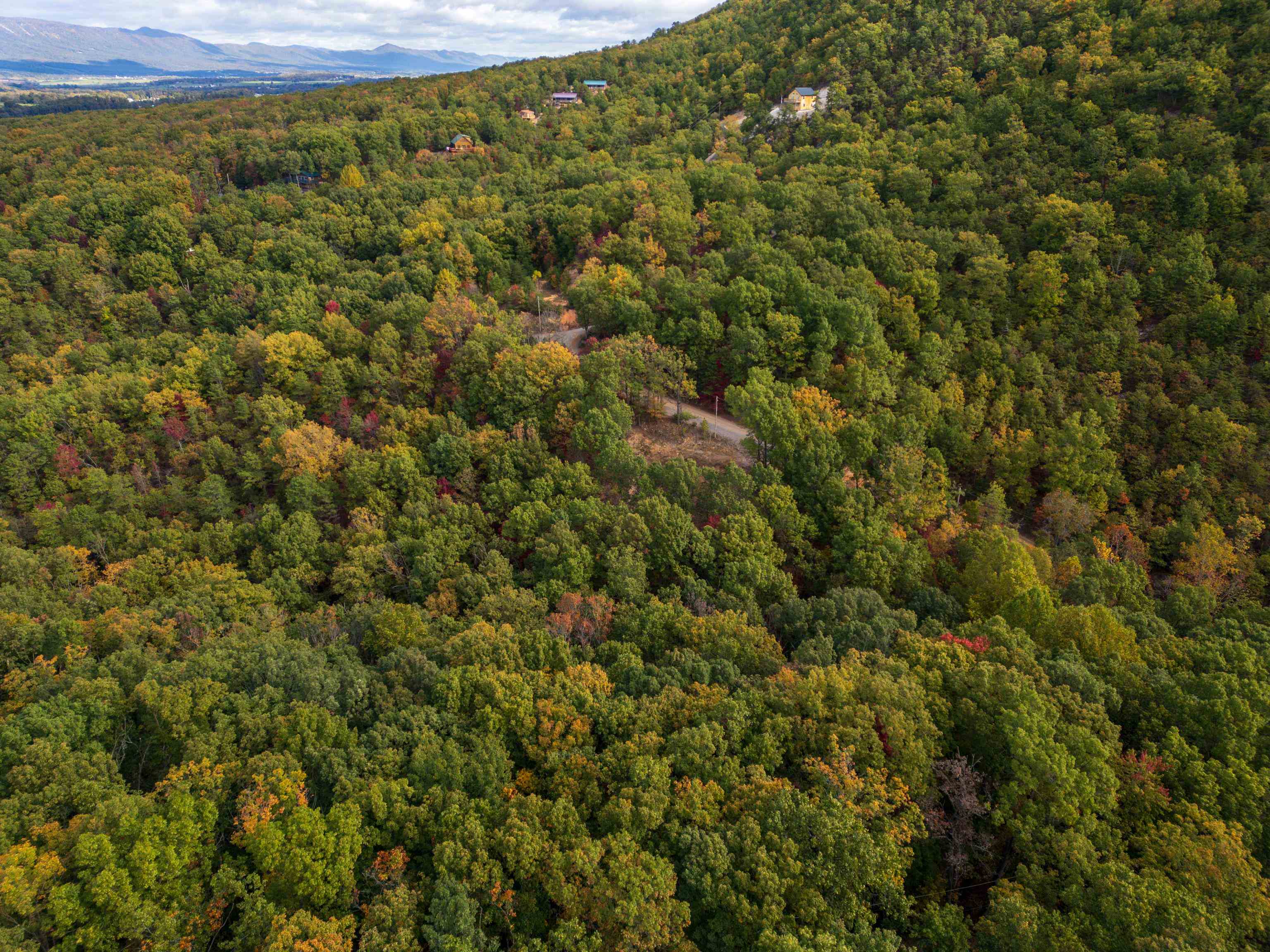 Lot 14 WILDWOOD LN, SHENANDOAH, Virginia 22849, ,Land,Lot 14 WILDWOOD LN,658133 MLS # 658133