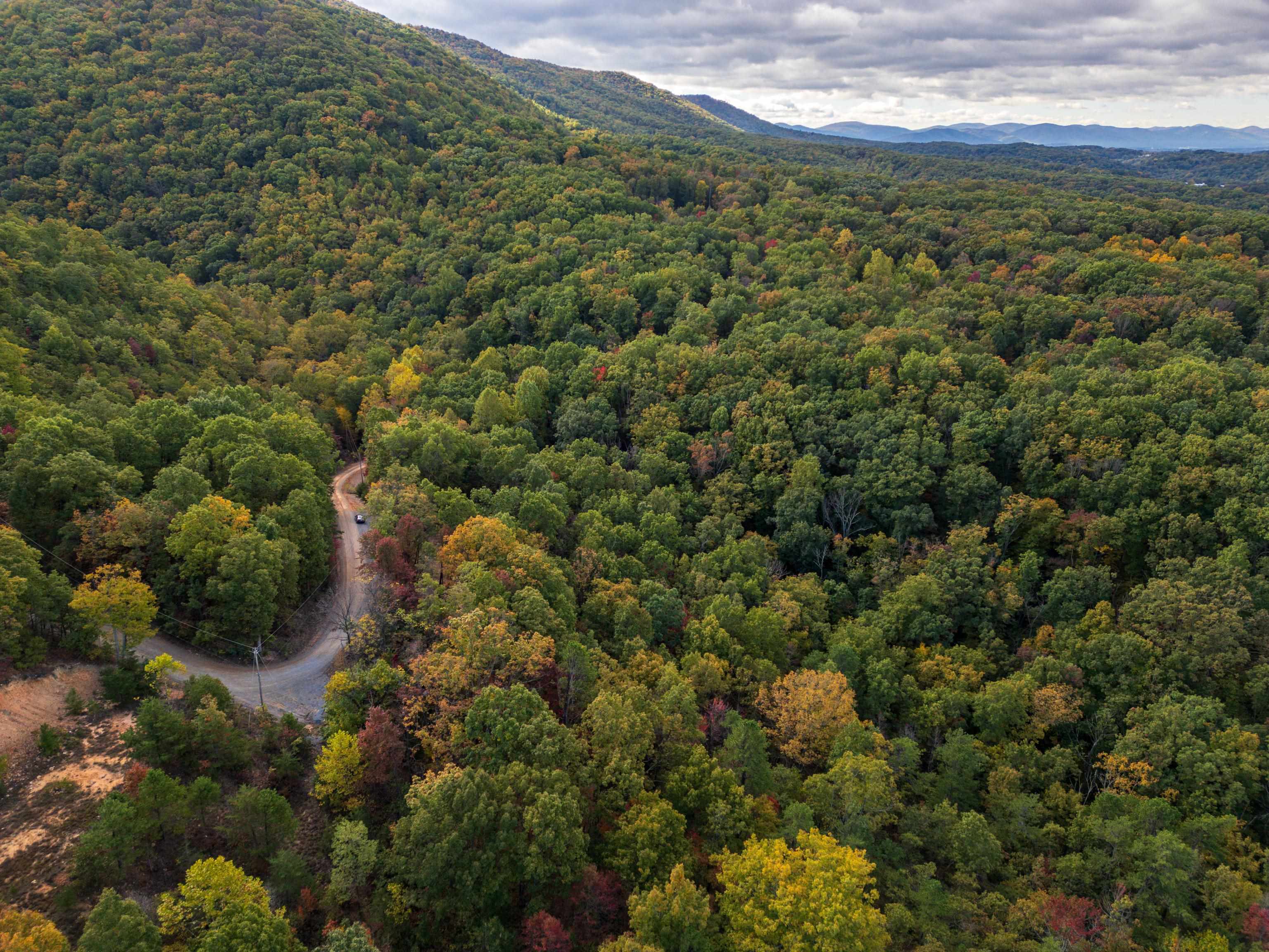 Lot 14 WILDWOOD LN, SHENANDOAH, Virginia 22849, ,Land,Lot 14 WILDWOOD LN,658133 MLS # 658133