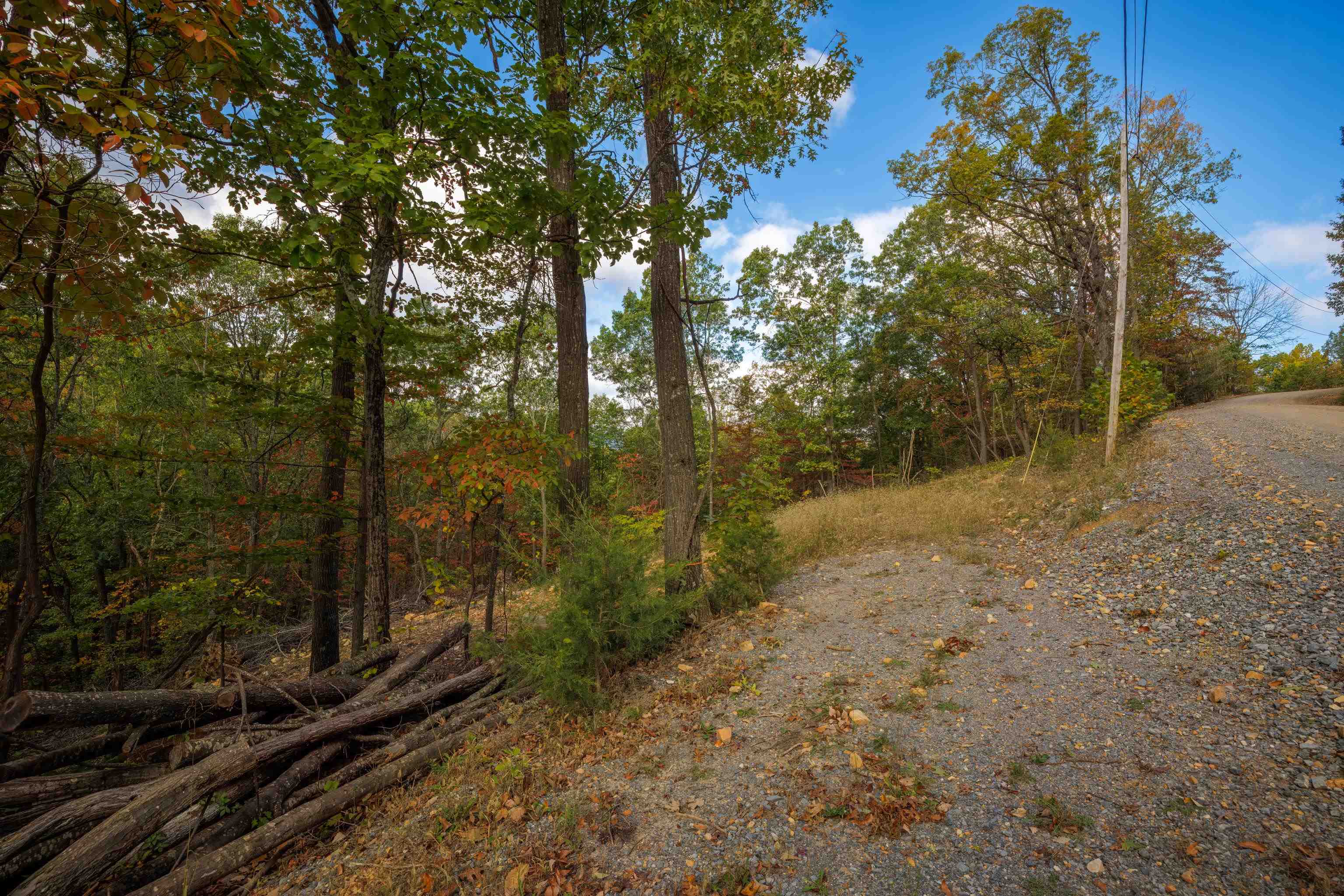 Lot 14 WILDWOOD LN, SHENANDOAH, Virginia 22849, ,Land,Lot 14 WILDWOOD LN,658133 MLS # 658133