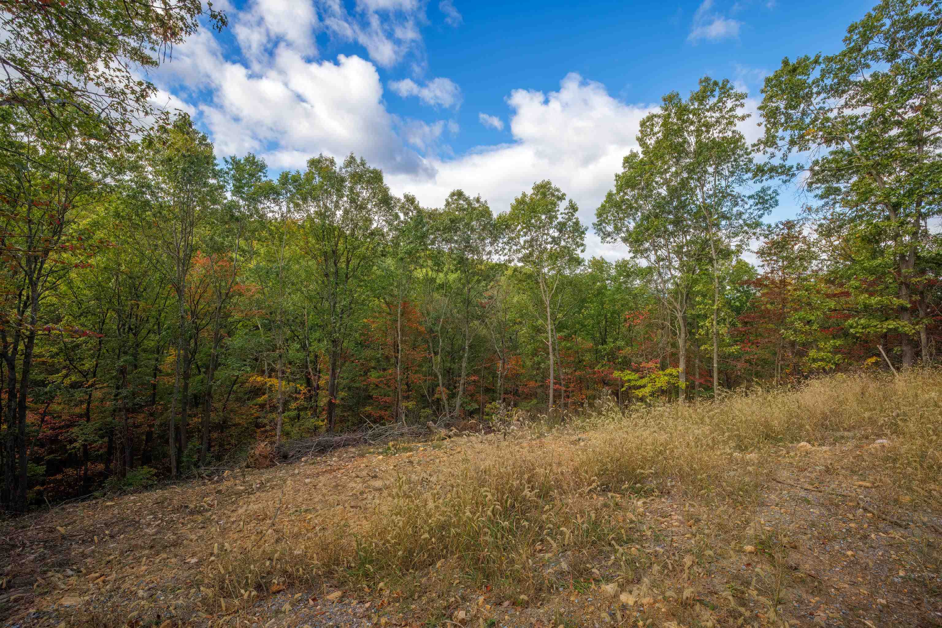 Lot 14 WILDWOOD LN, SHENANDOAH, Virginia 22849, ,Land,Lot 14 WILDWOOD LN,658133 MLS # 658133