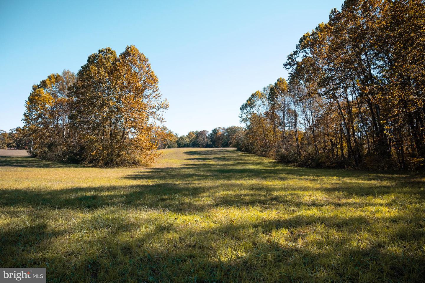 14290 SNAKE CASTLE RD, SUMERDUCK, Virginia 22742, ,Land,For sale,14290 SNAKE CASTLE RD,VAFQ2014418 MLS # VAFQ2014418