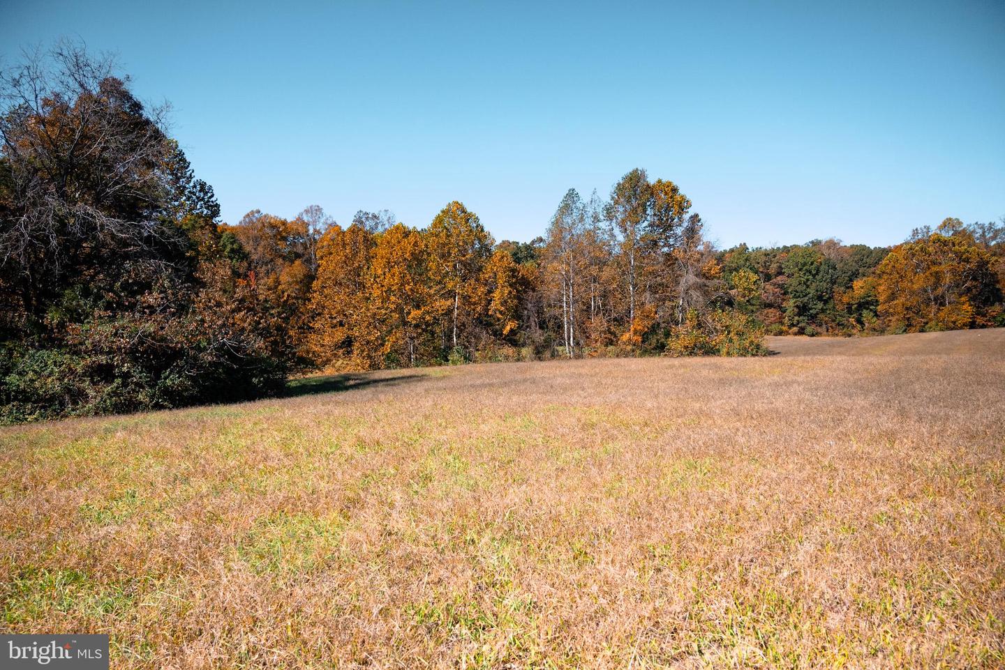 14290 SNAKE CASTLE RD, SUMERDUCK, Virginia 22742, ,Land,For sale,14290 SNAKE CASTLE RD,VAFQ2014418 MLS # VAFQ2014418