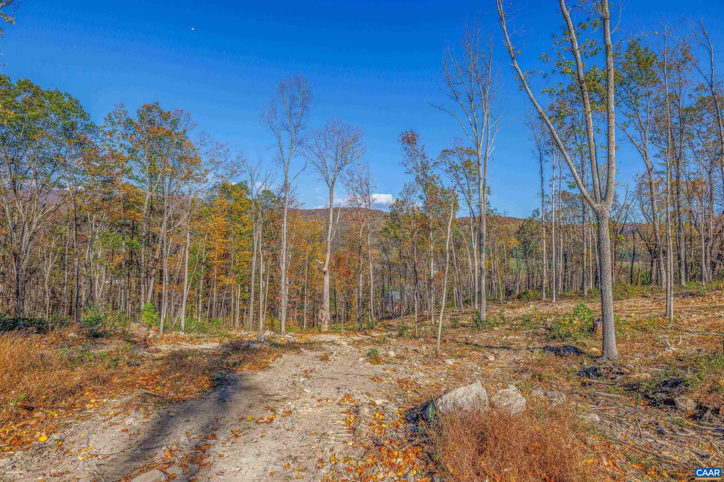 TBD LOT 22 DYKE RD #35-A-22, STANARDSVILLE, Virginia 22973, ,Land,For sale,TBD LOT 22 DYKE RD #35-A-22,658138 MLS # 658138