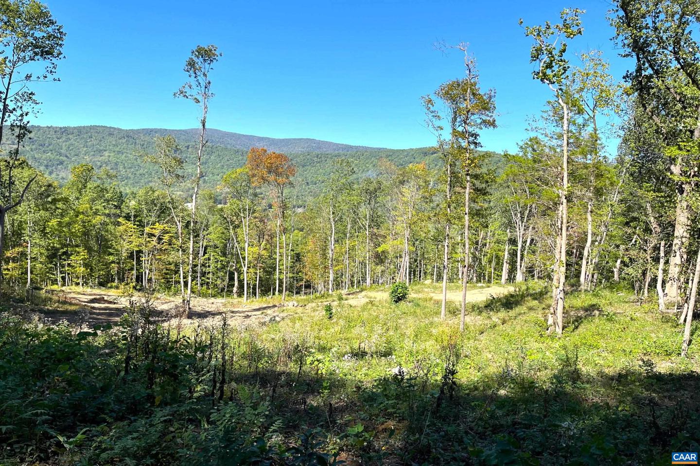 TBD LOT 22 DYKE RD #35-A-22, STANARDSVILLE, Virginia 22973, ,Land,For sale,TBD LOT 22 DYKE RD #35-A-22,658138 MLS # 658138