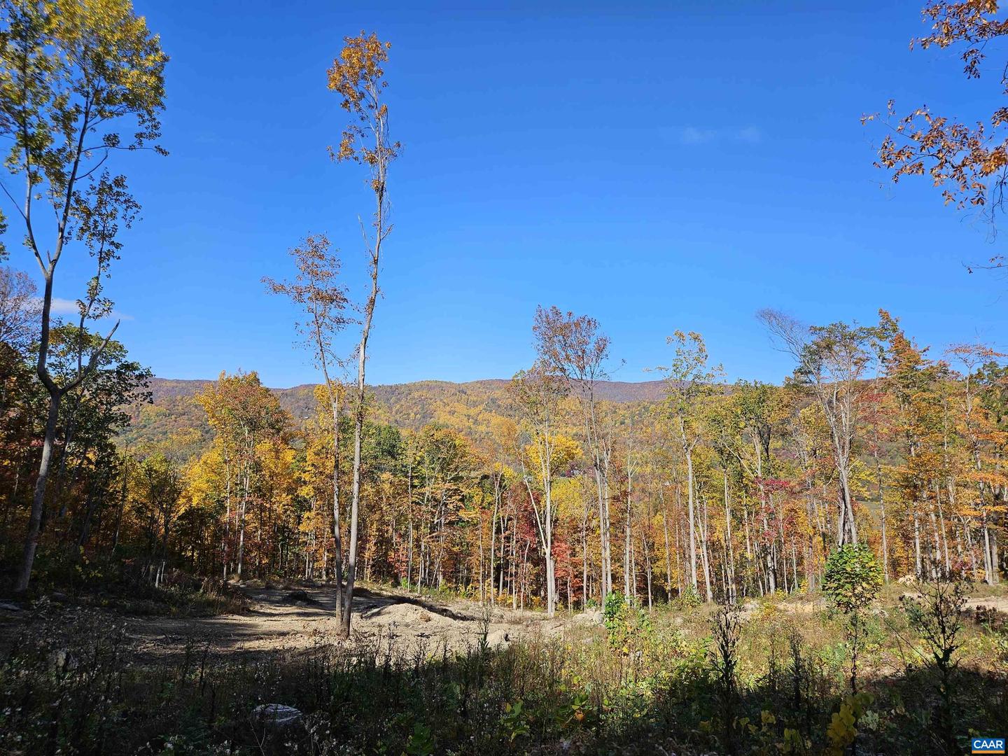 TBD LOT 22 DYKE RD #35-A-22, STANARDSVILLE, Virginia 22973, ,Land,For sale,TBD LOT 22 DYKE RD #35-A-22,658138 MLS # 658138