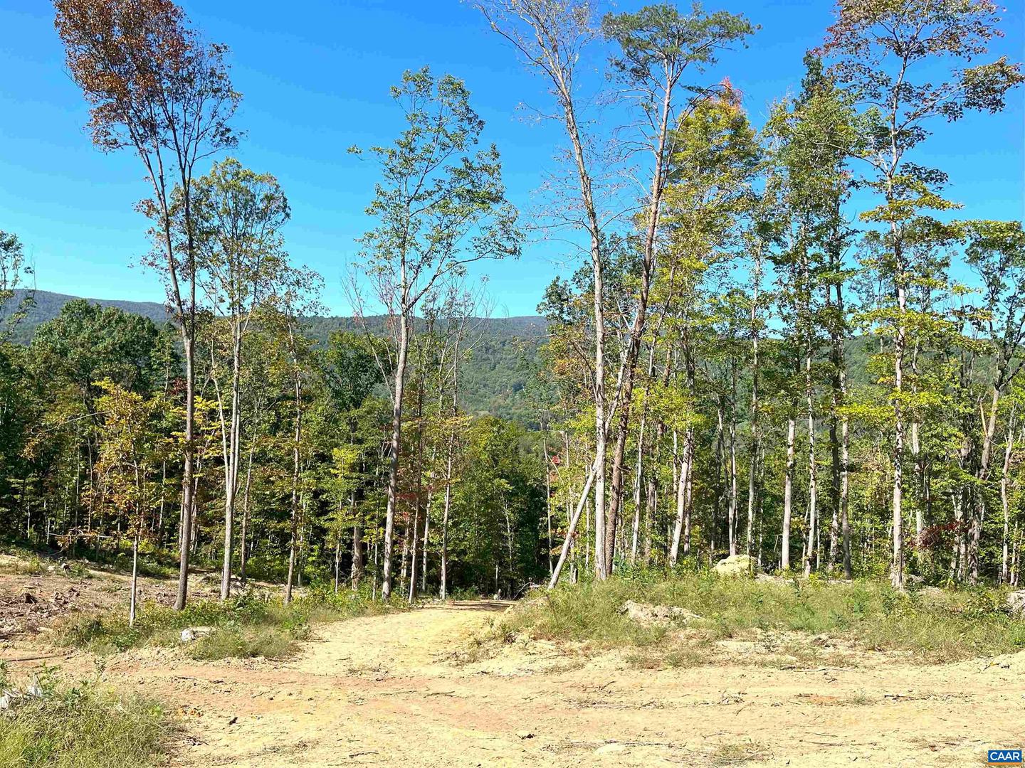 TBD LOT 22 DYKE RD #35-A-22, STANARDSVILLE, Virginia 22973, ,Land,For sale,TBD LOT 22 DYKE RD #35-A-22,658138 MLS # 658138