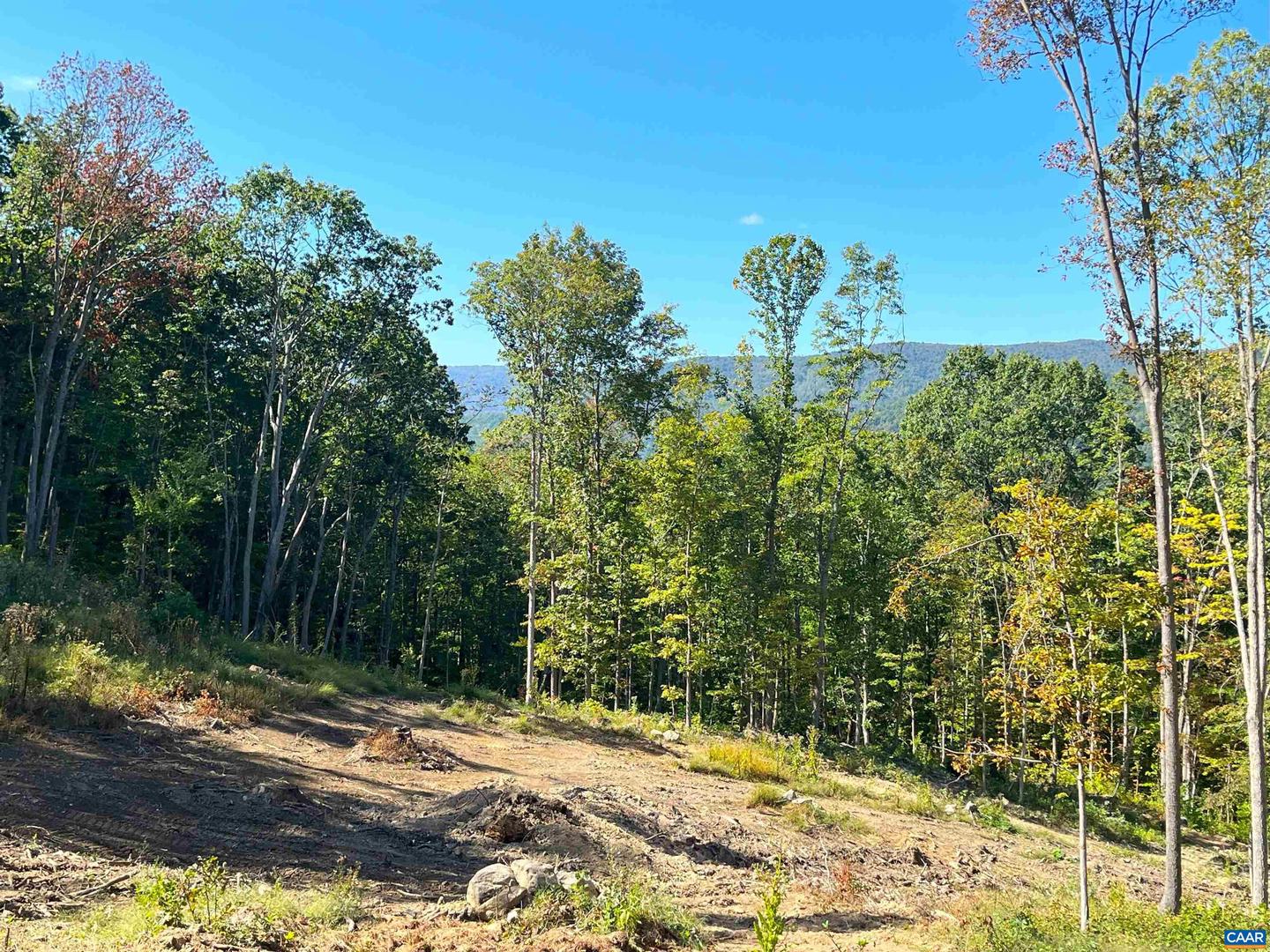 TBD LOT 22 DYKE RD #35-A-22, STANARDSVILLE, Virginia 22973, ,Land,For sale,TBD LOT 22 DYKE RD #35-A-22,658138 MLS # 658138