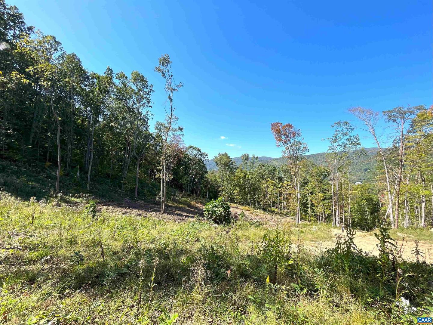 TBD LOT 22 DYKE RD #35-A-22, STANARDSVILLE, Virginia 22973, ,Land,For sale,TBD LOT 22 DYKE RD #35-A-22,658138 MLS # 658138