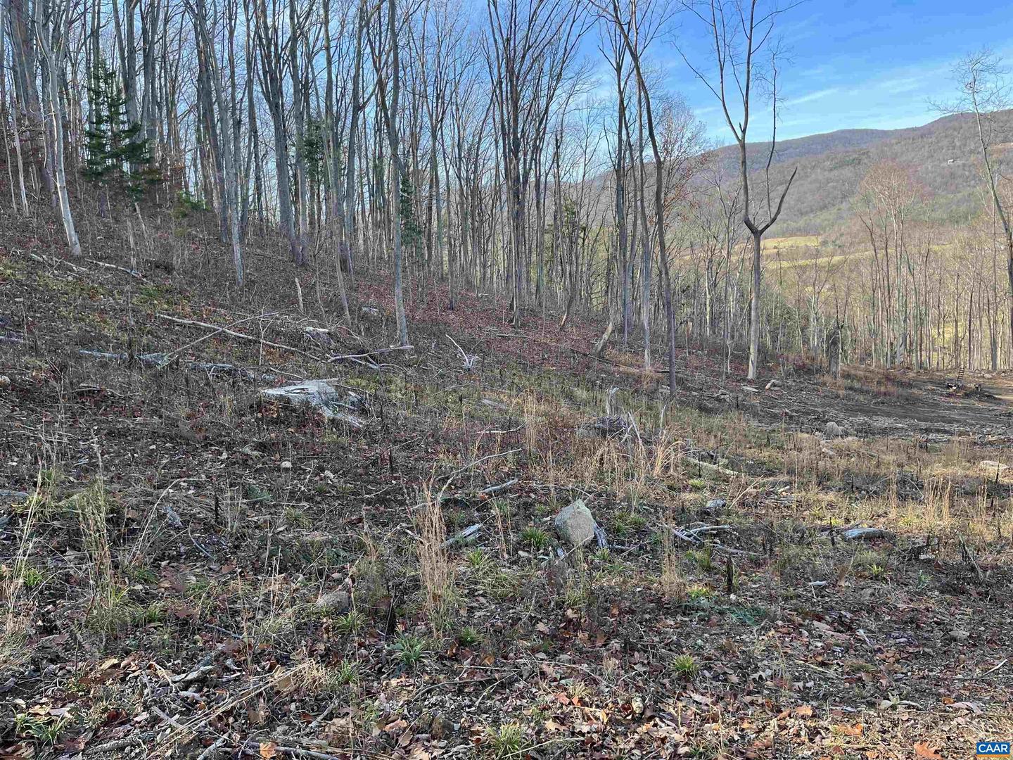 TBD LOT 22 DYKE RD #35-A-22, STANARDSVILLE, Virginia 22973, ,Land,For sale,TBD LOT 22 DYKE RD #35-A-22,658138 MLS # 658138