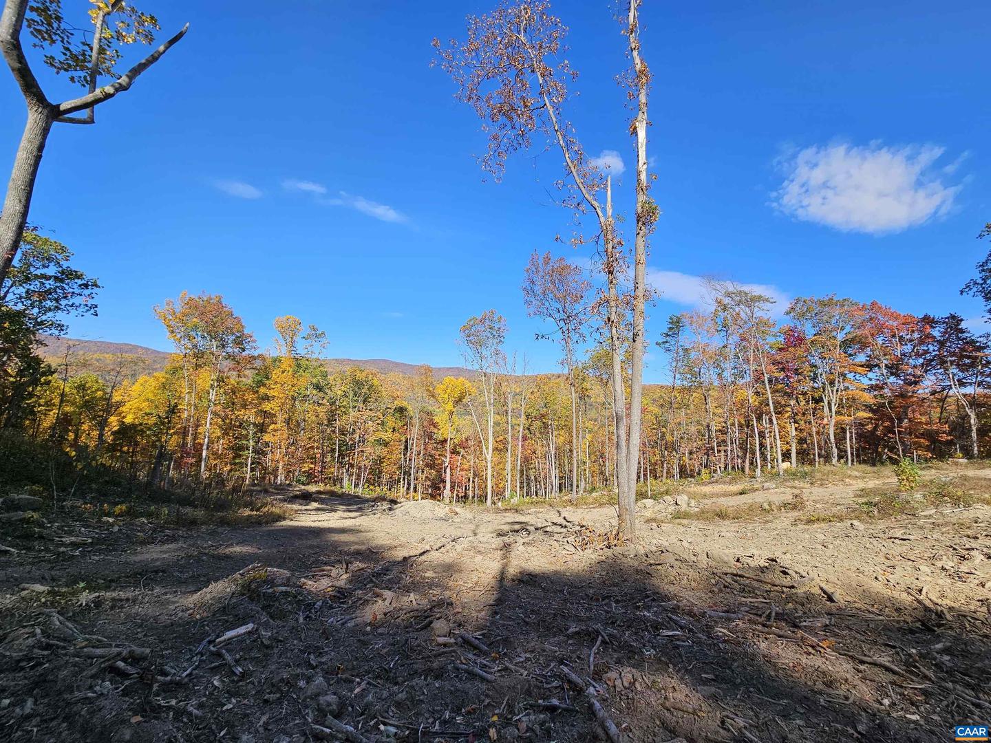 TBD LOT 22 DYKE RD #35-A-22, STANARDSVILLE, Virginia 22973, ,Land,For sale,TBD LOT 22 DYKE RD #35-A-22,658138 MLS # 658138