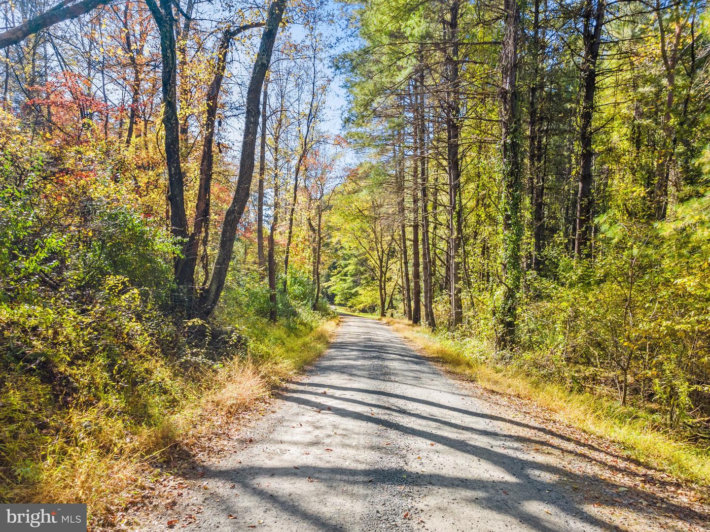 LONG MOUNTAIN ROAD, WASHINGTON, Virginia 22747, ,Farm,For sale,LONG MOUNTAIN ROAD,VARP2001820 MLS # VARP2001820