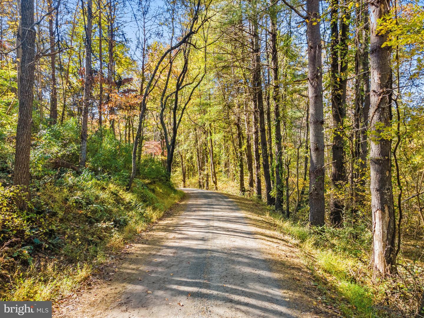 LONG MOUNTAIN ROAD, WASHINGTON, Virginia 22747, ,Farm,For sale,LONG MOUNTAIN ROAD,VARP2001820 MLS # VARP2001820