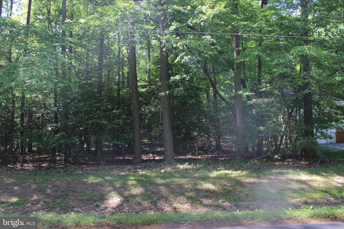 1722 CAPTAINS CORR, GREENBACKVILLE, Virginia 23356, ,Land,For sale,1722 CAPTAINS CORR,VAAC2001416 MLS # VAAC2001416