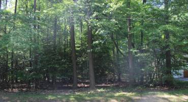 1722 CAPTAINS CORR, GREENBACKVILLE, Virginia 23356, ,Land,For sale,1722 CAPTAINS CORR,VAAC2001416 MLS # VAAC2001416