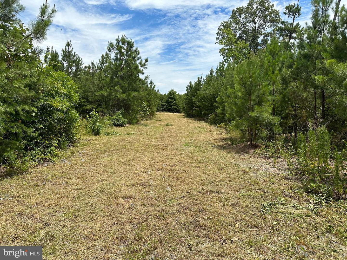 JEFFERSON DAVIS HWY HWY, RUTHER GLEN, Virginia 22546, ,Land,For sale,JEFFERSON DAVIS HWY HWY,VACV2006930 MLS # VACV2006930