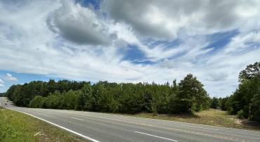 JEFFERSON DAVIS HWY HWY, RUTHER GLEN, Virginia 22546, ,Land,For sale,JEFFERSON DAVIS HWY HWY,VACV2006930 MLS # VACV2006930