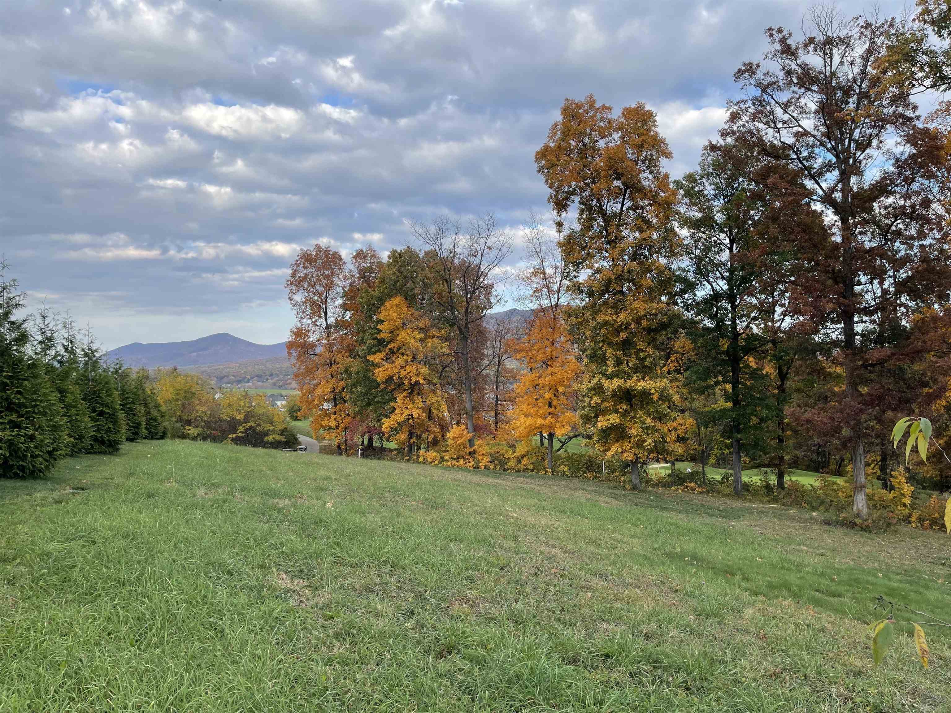 View from Lot to the North, Massanutten Ridgeline