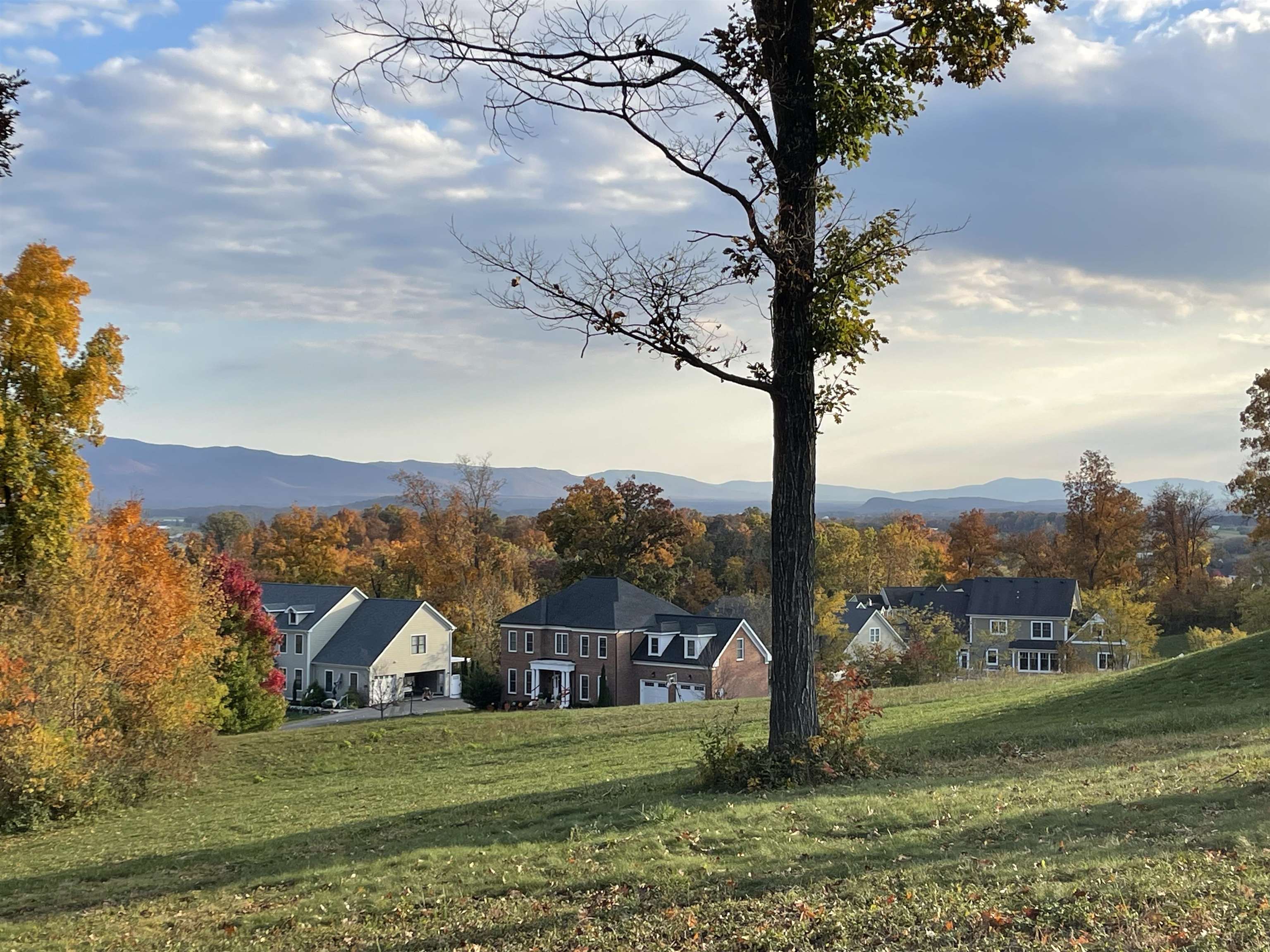 View from Lot to the East, Blue Ridge Mountains