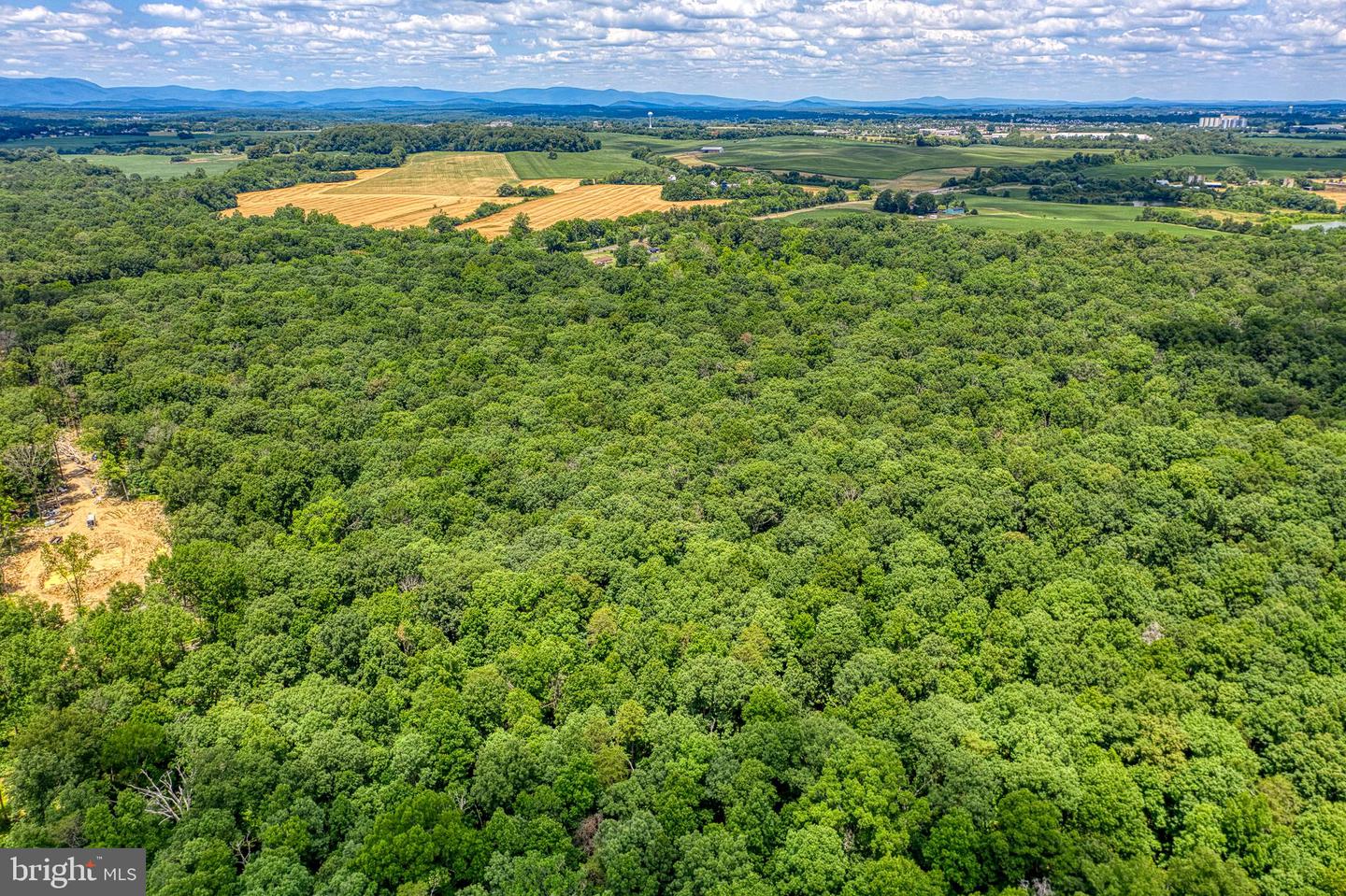 ZACHARY TAYLOR HWY, CULPEPER, Virginia 22701, ,Land,For sale,ZACHARY TAYLOR HWY,VACU2008338 MLS # VACU2008338