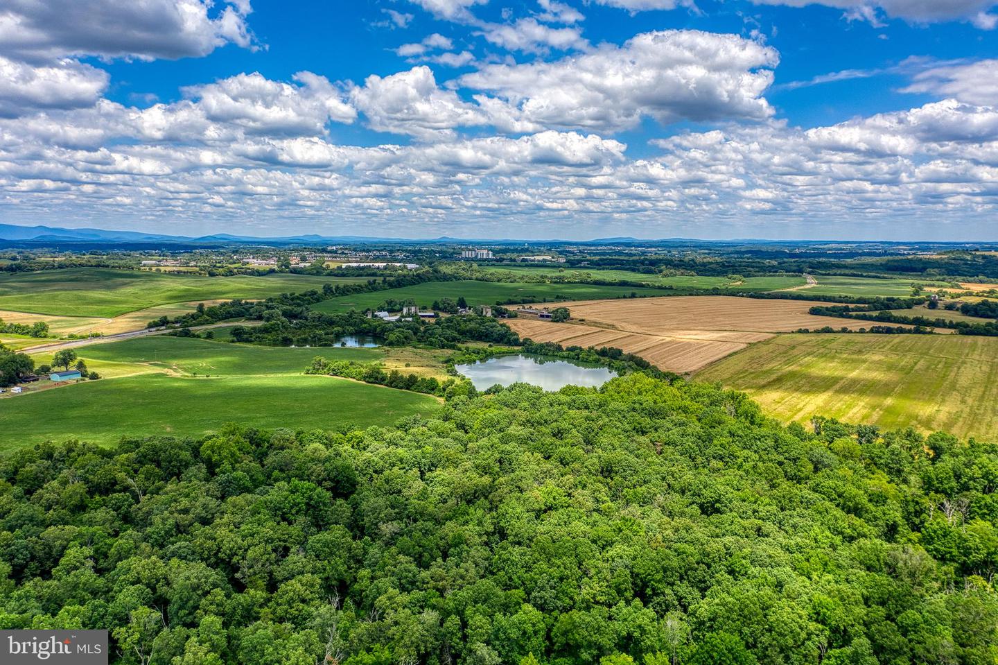 ZACHARY TAYLOR HWY, CULPEPER, Virginia 22701, ,Land,For sale,ZACHARY TAYLOR HWY,VACU2008338 MLS # VACU2008338