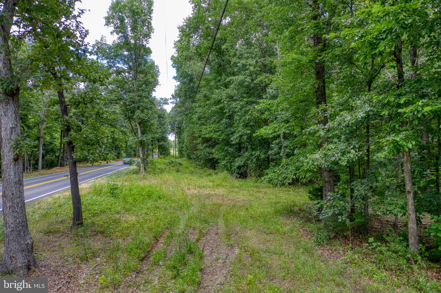 ZACHARY TAYLOR HWY, CULPEPER, Virginia 22701, ,Land,For sale,ZACHARY TAYLOR HWY,VACU2008338 MLS # VACU2008338