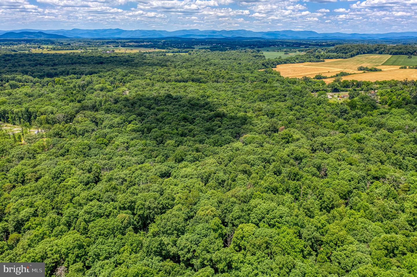 ZACHARY TAYLOR HWY, CULPEPER, Virginia 22701, ,Land,For sale,ZACHARY TAYLOR HWY,VACU2008338 MLS # VACU2008338