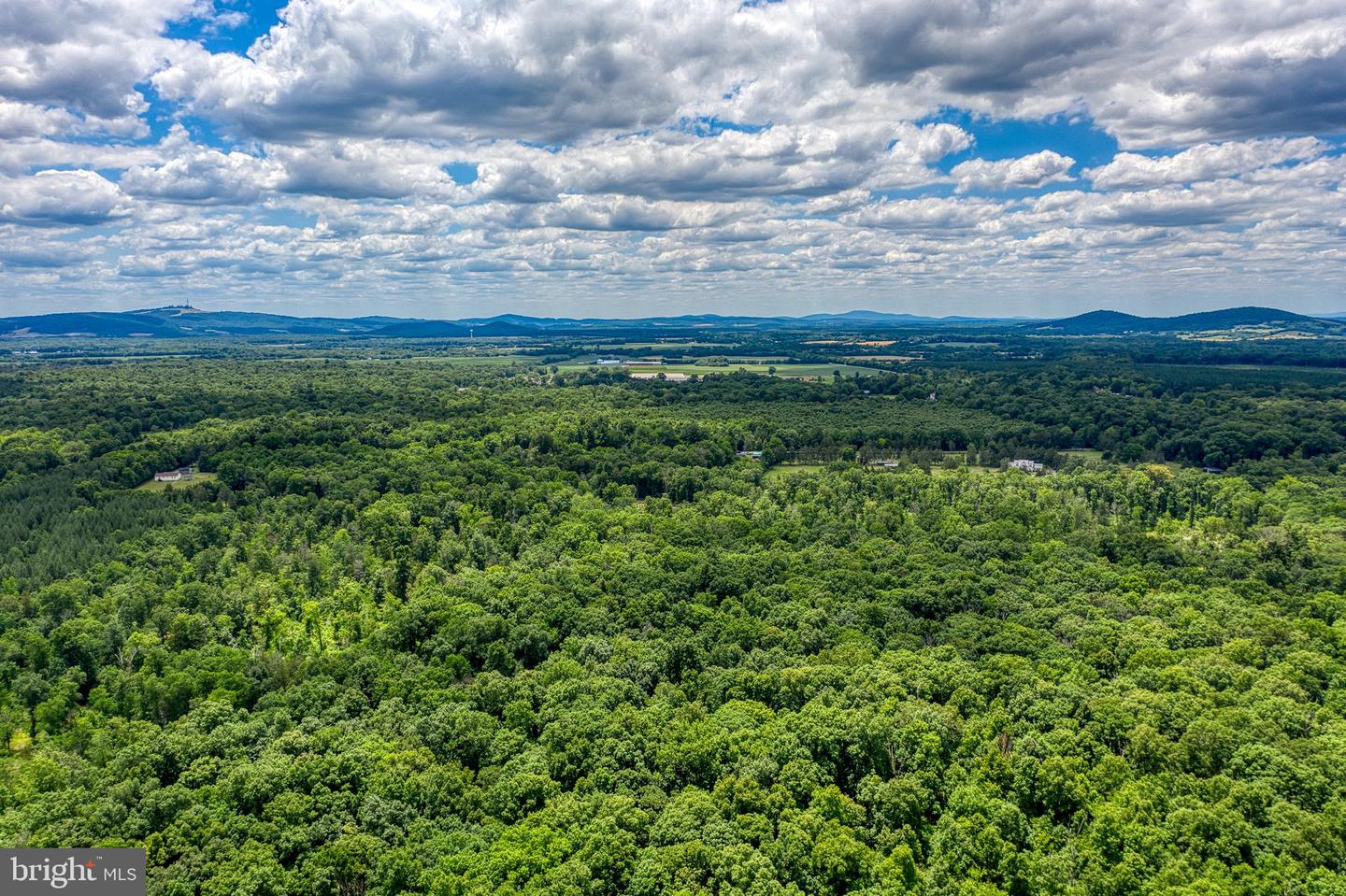 ZACHARY TAYLOR HWY, CULPEPER, Virginia 22701, ,Land,For sale,ZACHARY TAYLOR HWY,VACU2008338 MLS # VACU2008338