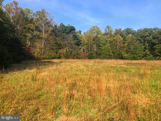 0 CONSTITUTION, ORANGE, Virginia 22960, ,Land,For sale,0 CONSTITUTION,VAOR2008170 MLS # VAOR2008170