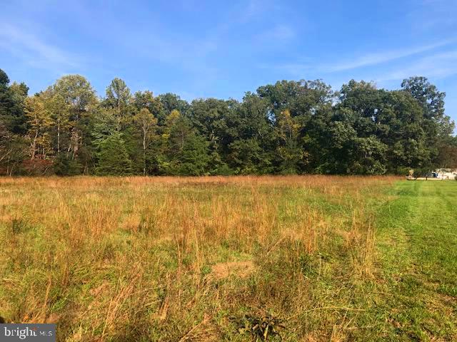 0 CONSTITUTION, ORANGE, Virginia 22960, ,Land,For sale,0 CONSTITUTION,VAOR2008170 MLS # VAOR2008170