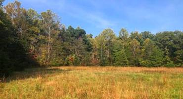 0 CONSTITUTION, ORANGE, Virginia 22960, ,Land,For sale,0 CONSTITUTION,VAOR2008170 MLS # VAOR2008170