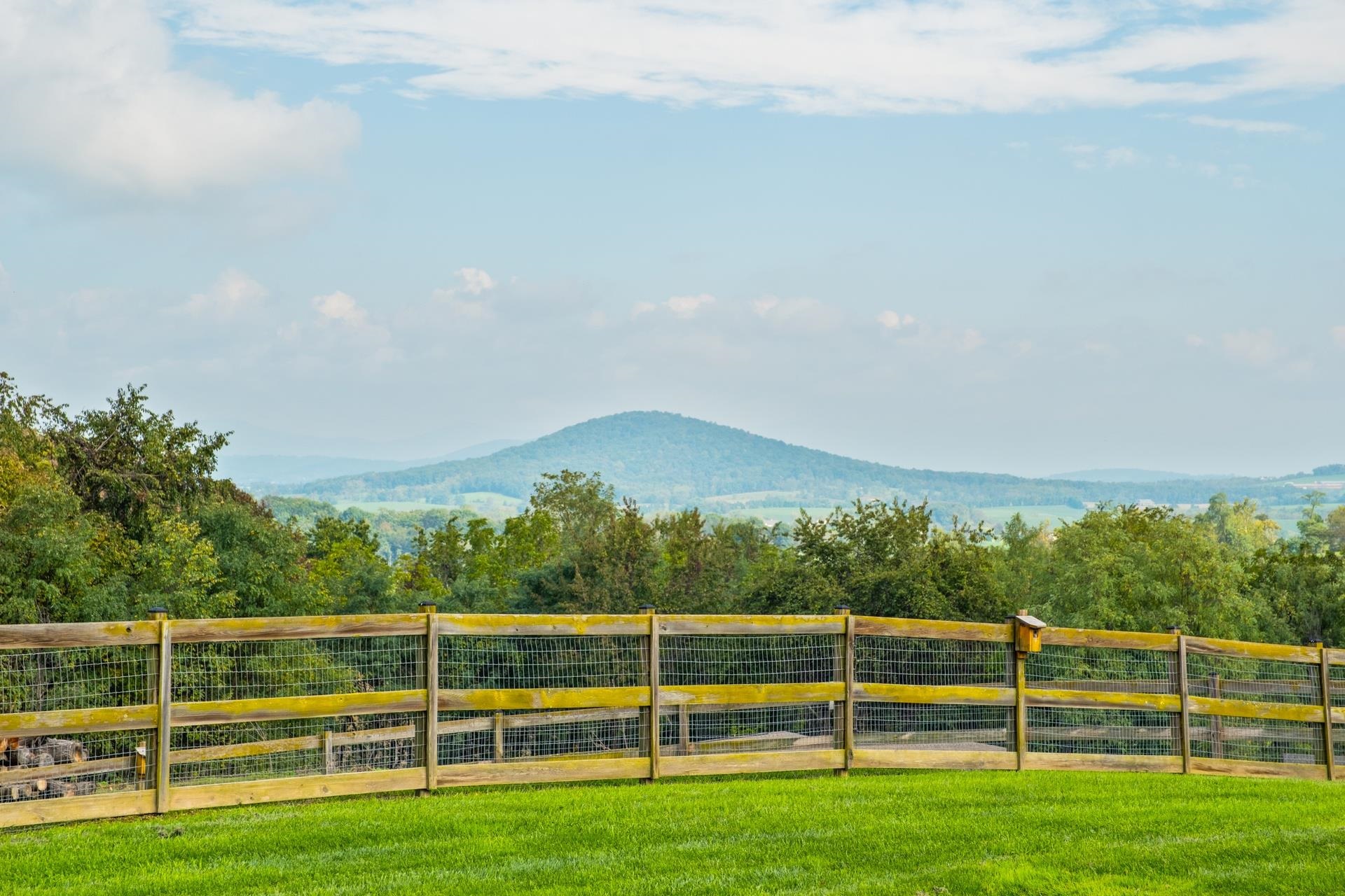 945 NEESE LN, NEW MARKET, Virginia 22844, 4 Bedrooms Bedrooms, ,4 BathroomsBathrooms,Residential,Whiteford Farm,945 NEESE LN,658233 MLS # 658233