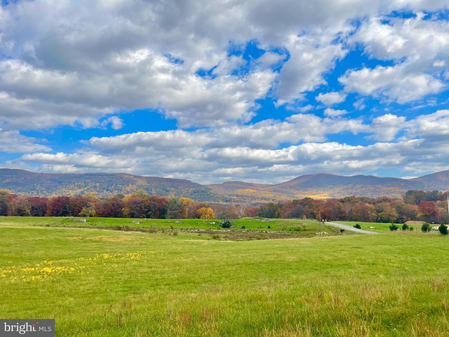 3 AC BUCK MOUNTAIN RD, BENTONVILLE, Virginia 22610, ,Land,For sale,3 AC BUCK MOUNTAIN RD,VAWR2009520 MLS # VAWR2009520