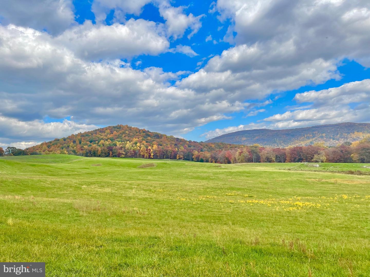 3 AC BUCK MOUNTAIN RD, BENTONVILLE, Virginia 22610, ,Land,For sale,3 AC BUCK MOUNTAIN RD,VAWR2009520 MLS # VAWR2009520