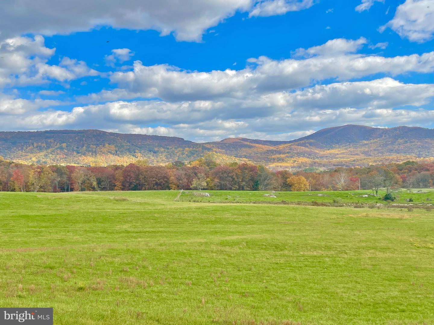 3 AC BUCK MOUNTAIN RD, BENTONVILLE, Virginia 22610, ,Land,For sale,3 AC BUCK MOUNTAIN RD,VAWR2009520 MLS # VAWR2009520