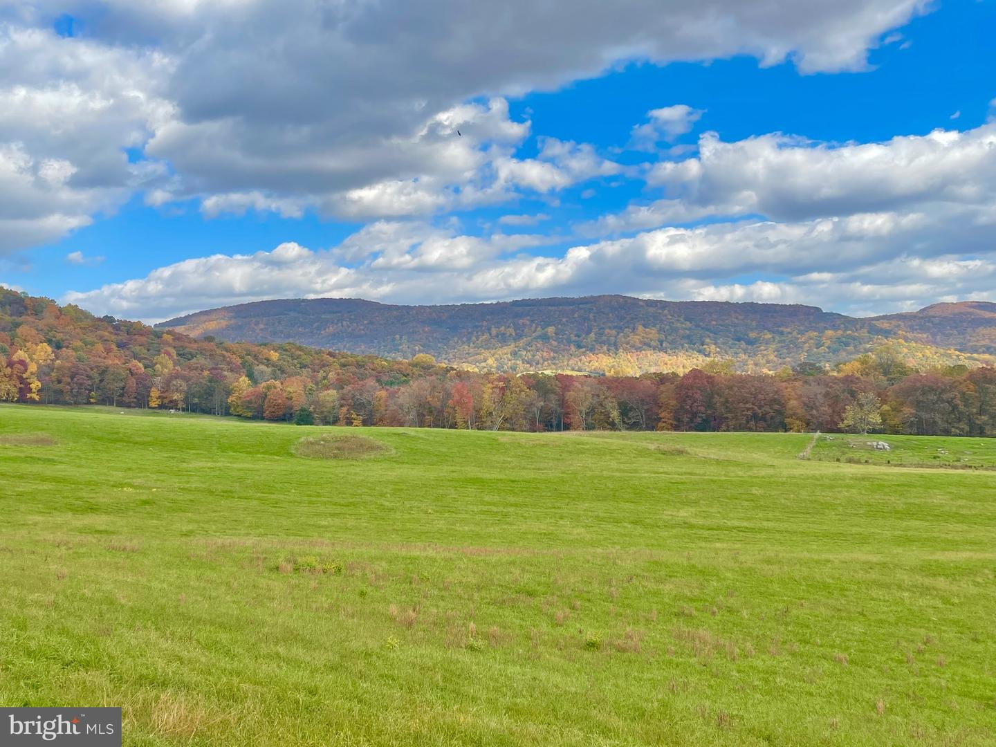 3 AC BUCK MOUNTAIN RD, BENTONVILLE, Virginia 22610, ,Land,For sale,3 AC BUCK MOUNTAIN RD,VAWR2009520 MLS # VAWR2009520