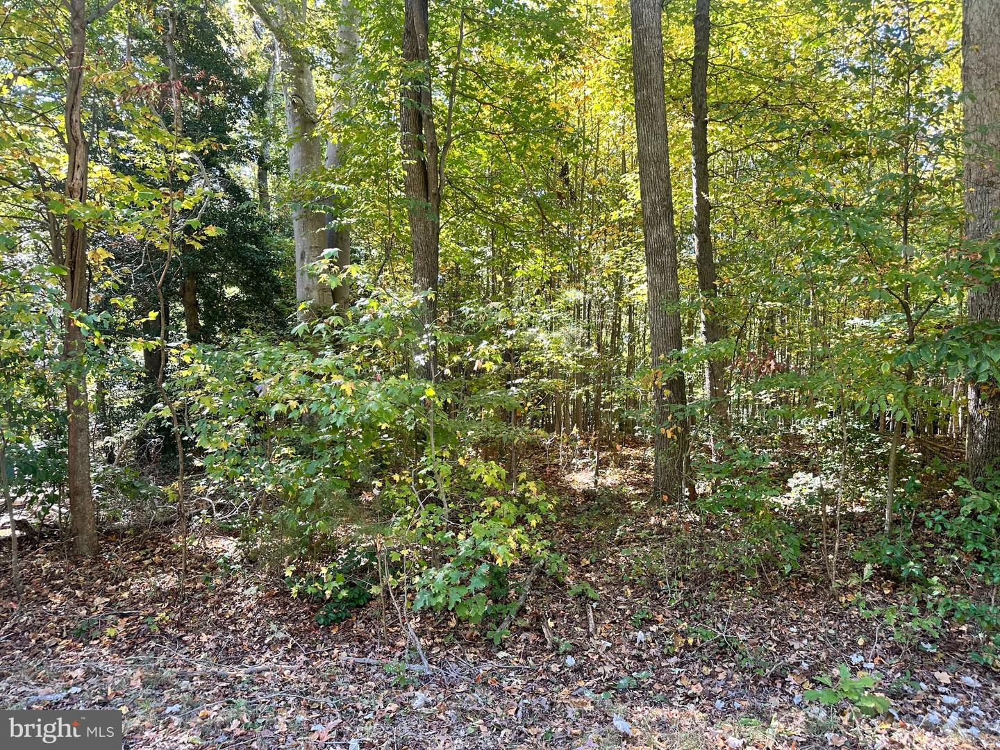 LOT 110 BISHOP DR, MONTROSS, Virginia 22520, ,Land,For sale,LOT 110 BISHOP DR,VAWE2007688 MLS # VAWE2007688