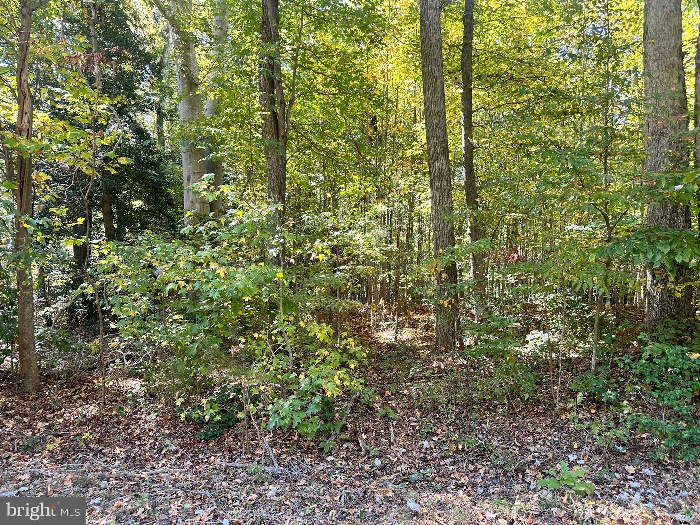 LOT 110 BISHOP DR, MONTROSS, Virginia 22520, ,Land,For sale,LOT 110 BISHOP DR,VAWE2007688 MLS # VAWE2007688