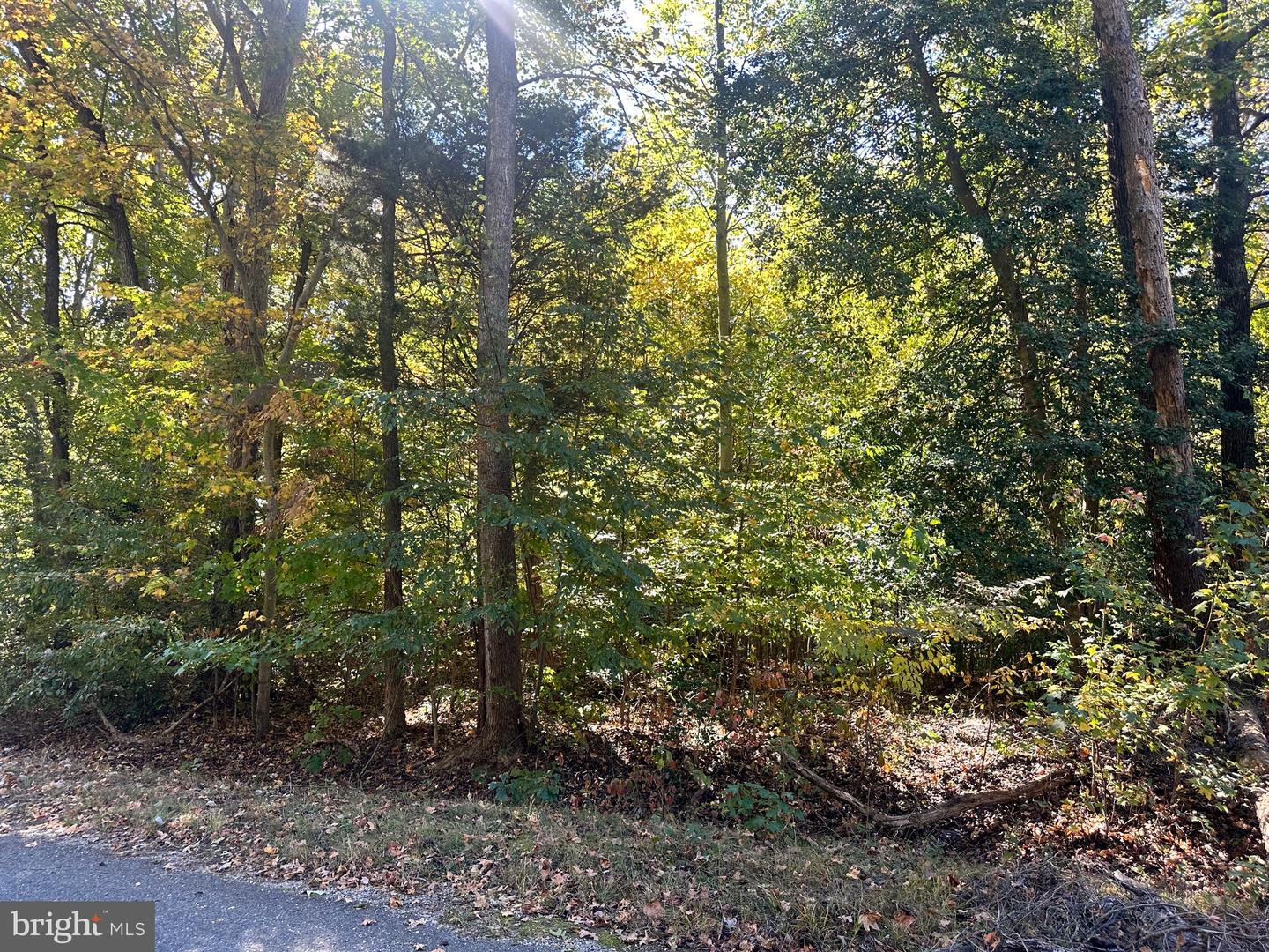 LOT 110 BISHOP DR, MONTROSS, Virginia 22520, ,Land,For sale,LOT 110 BISHOP DR,VAWE2007688 MLS # VAWE2007688