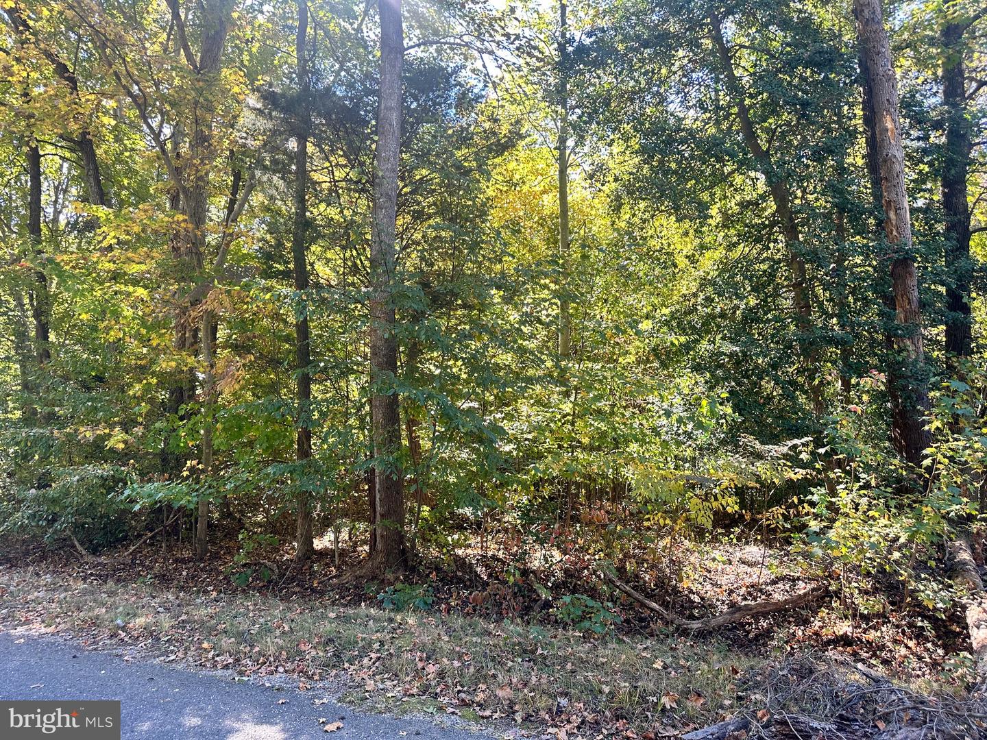 LOT 110 BISHOP DR, MONTROSS, Virginia 22520, ,Land,For sale,LOT 110 BISHOP DR,VAWE2007688 MLS # VAWE2007688