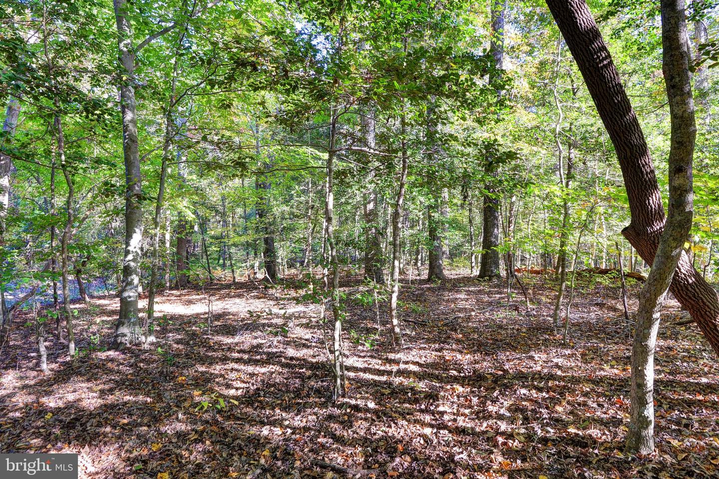 108 SOUTHERN HLS, WILLIAMSBURG, Virginia 23188, ,Land,For sale,108 SOUTHERN HLS,VAJC2000358 MLS # VAJC2000358