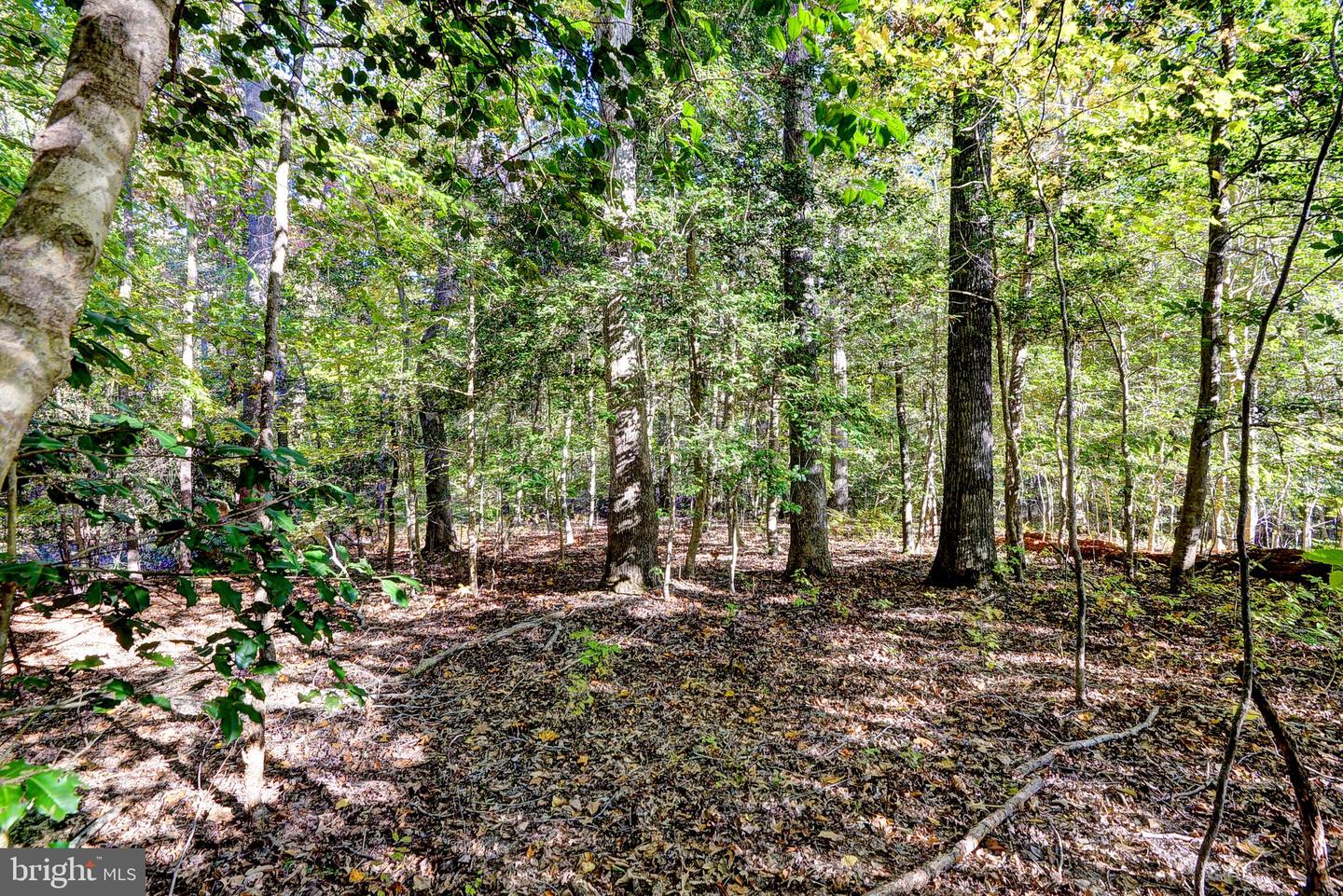 108 SOUTHERN HLS, WILLIAMSBURG, Virginia 23188, ,Land,For sale,108 SOUTHERN HLS,VAJC2000358 MLS # VAJC2000358