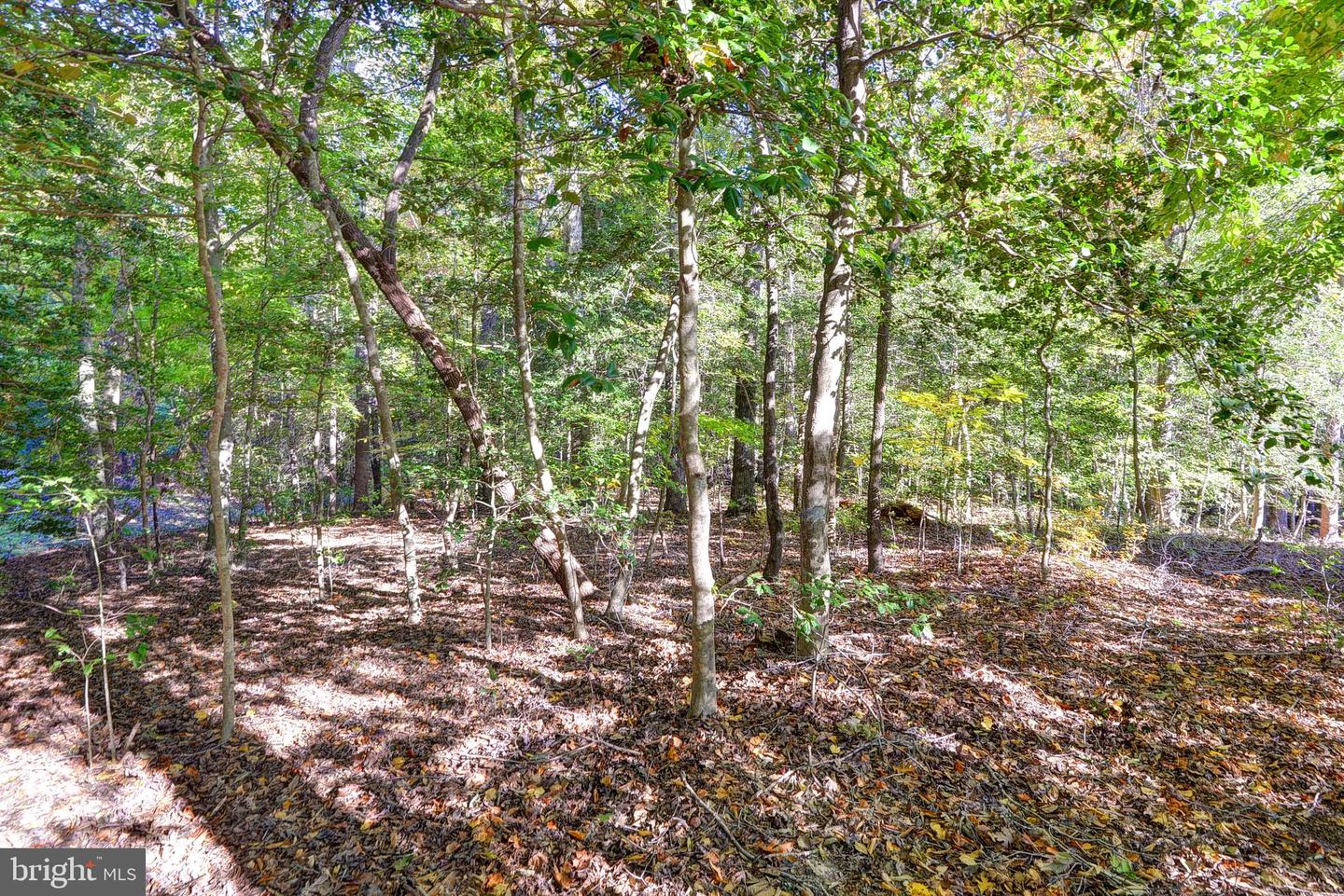 108 SOUTHERN HLS, WILLIAMSBURG, Virginia 23188, ,Land,For sale,108 SOUTHERN HLS,VAJC2000358 MLS # VAJC2000358