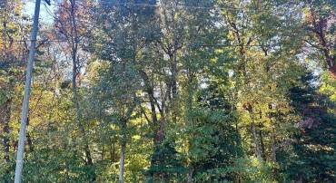 0 INDEPENDENCE DR N, MONTROSS, Virginia 22520, ,Land,For sale,0 INDEPENDENCE DR N,VAWE2007714 MLS # VAWE2007714